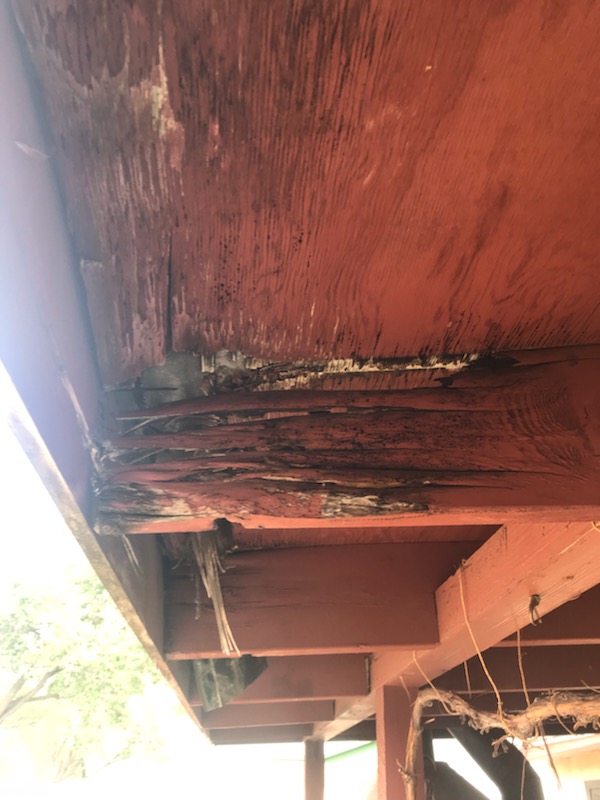 Dry Rot Evidence